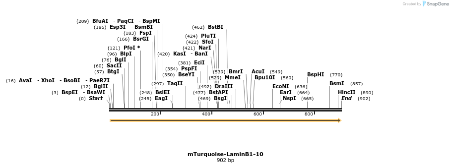 99257_map
