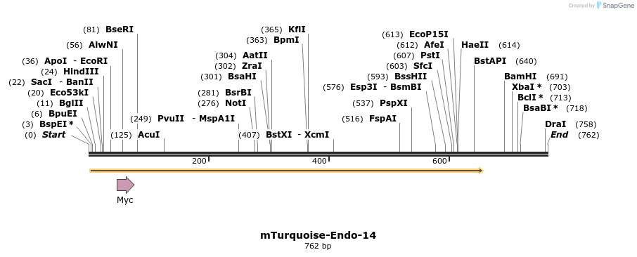 99260_map