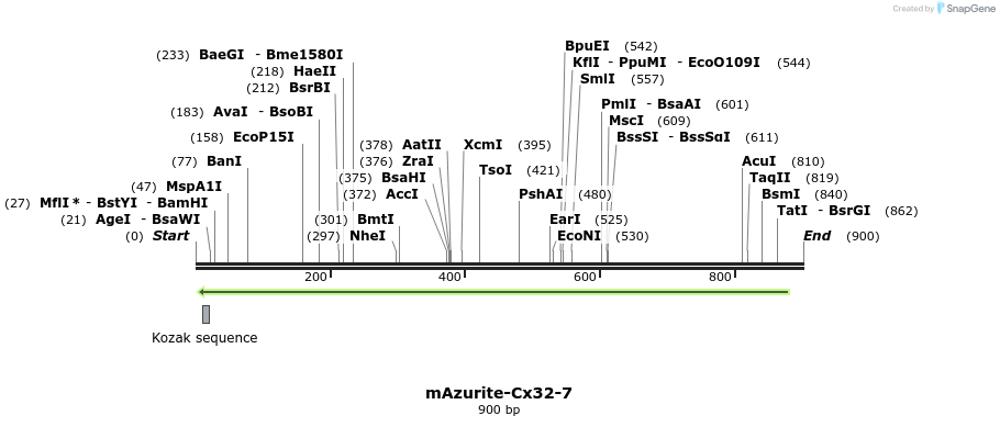 99261_map