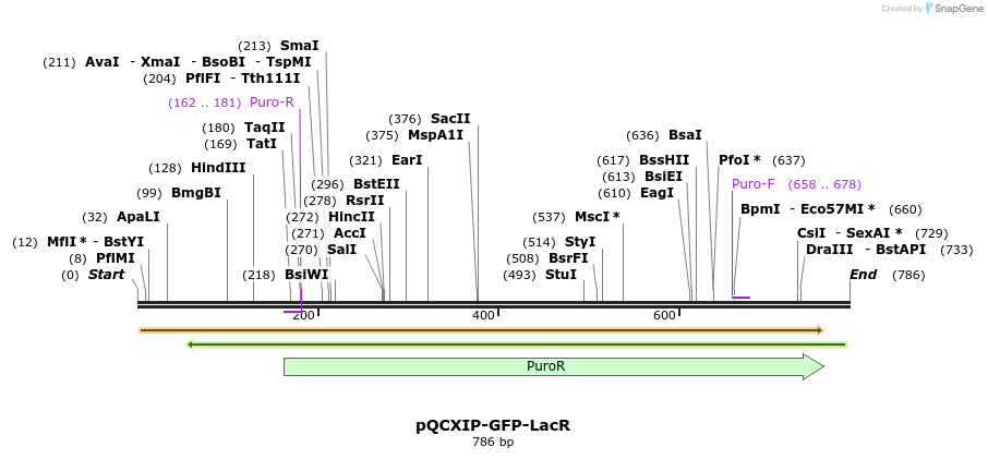 99270_map
