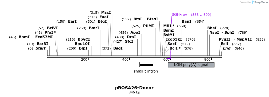 99273_map
