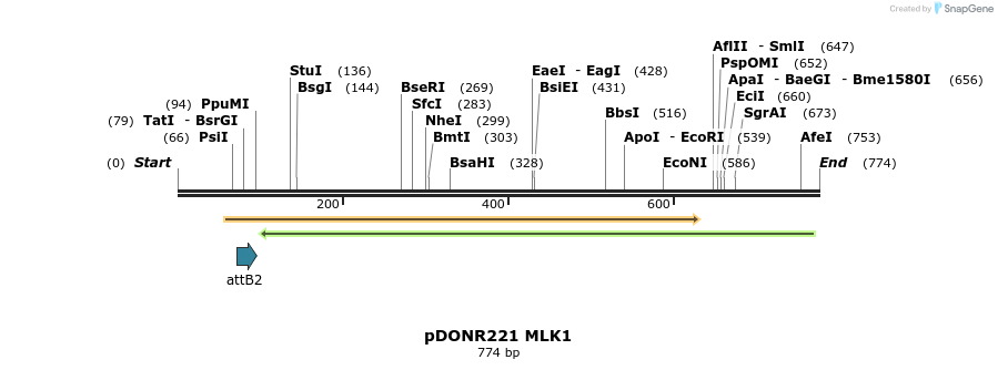99281_map