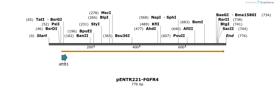 99287_map