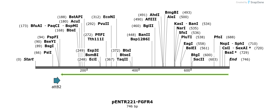 99288_map