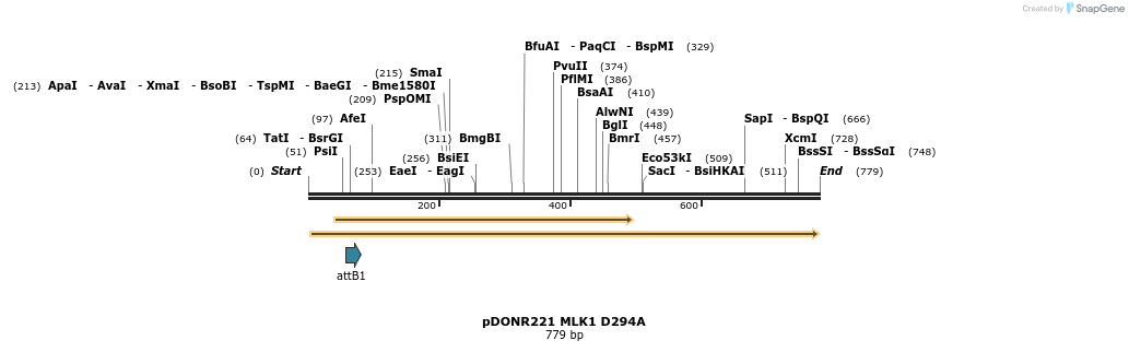 99289_map