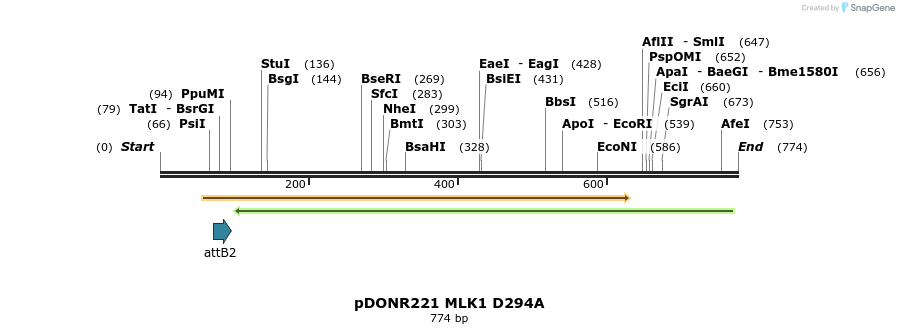 99291_map