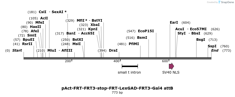 99298_map
