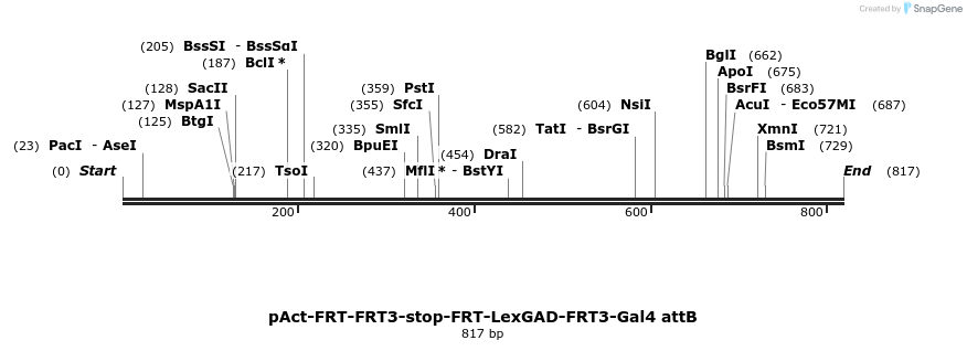 99299_map