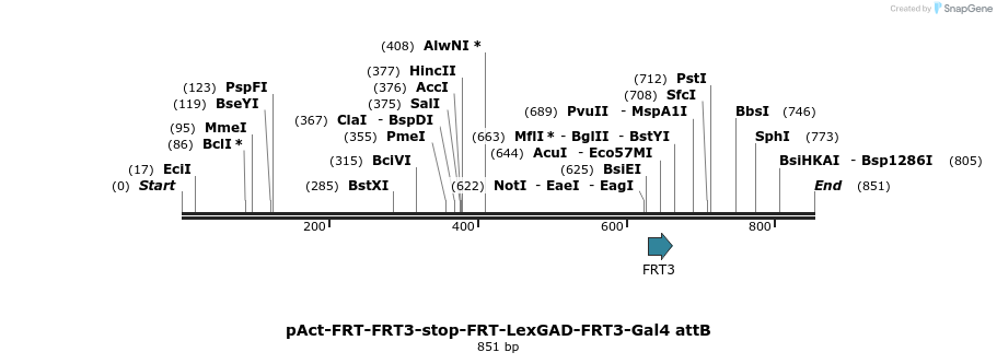 99301_map