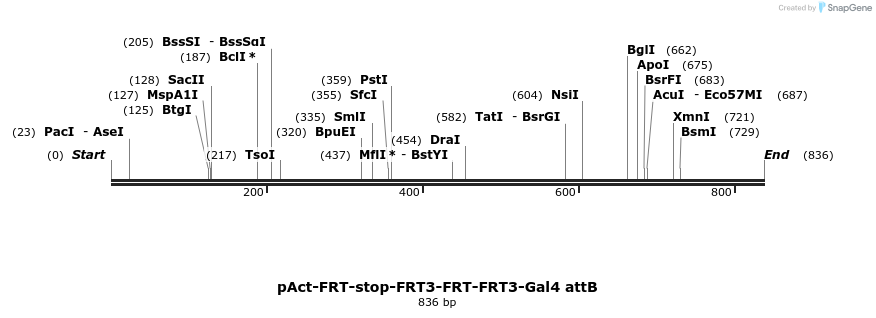 99304_map