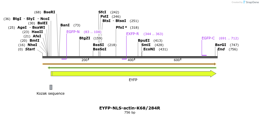 99311_map