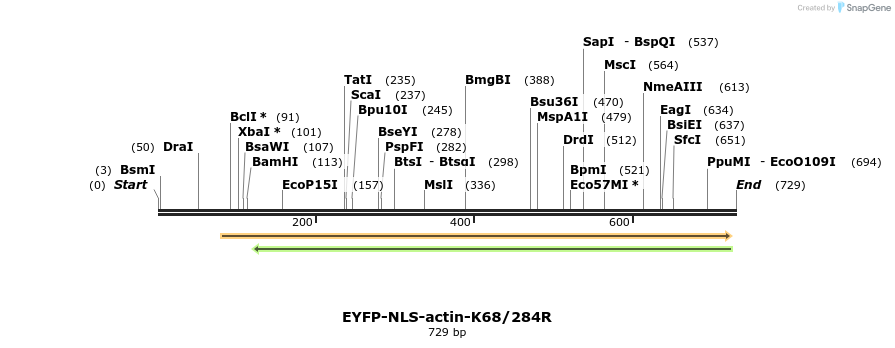 99312_map