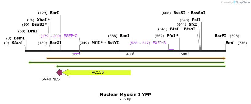 99314_map