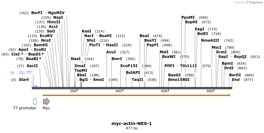 99316_map