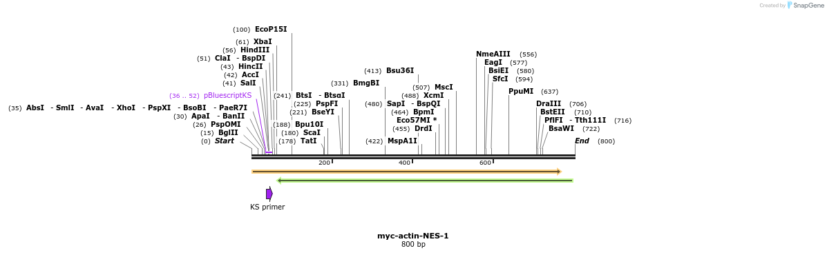 99317_map