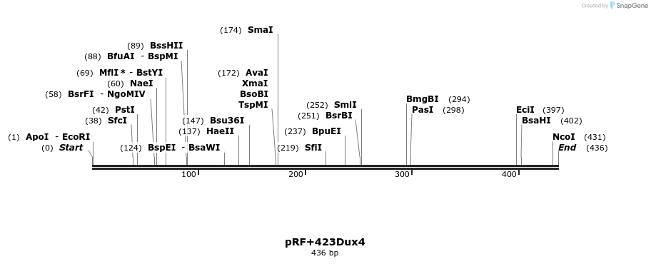 9932_map