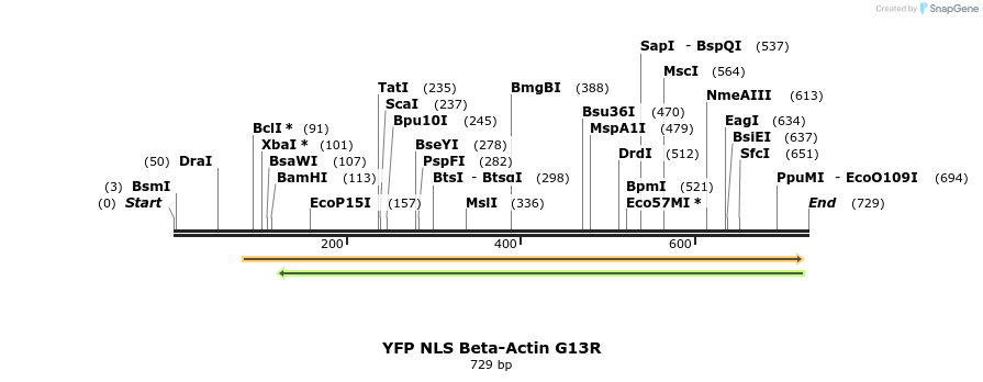 99320_map