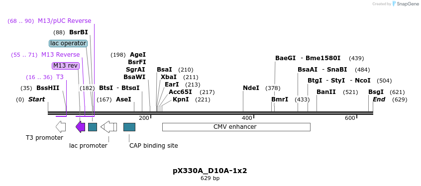 99323_map