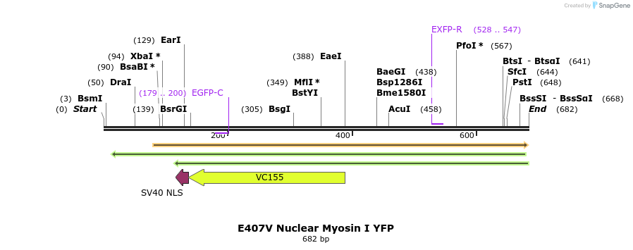99325_map