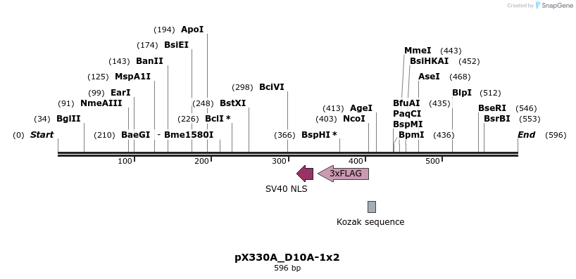 99326_map