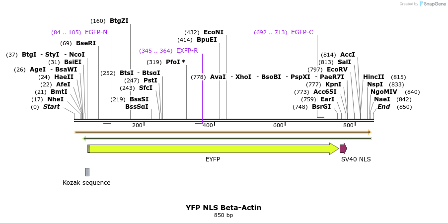 99328_map