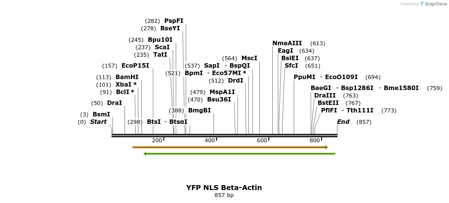 99329_map