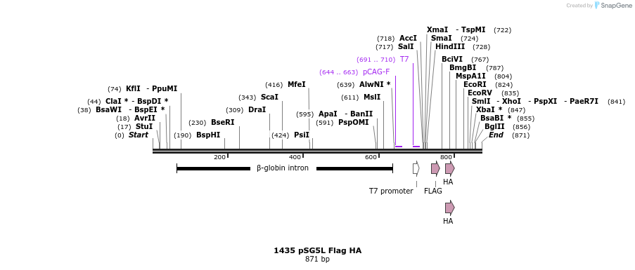 99342_map