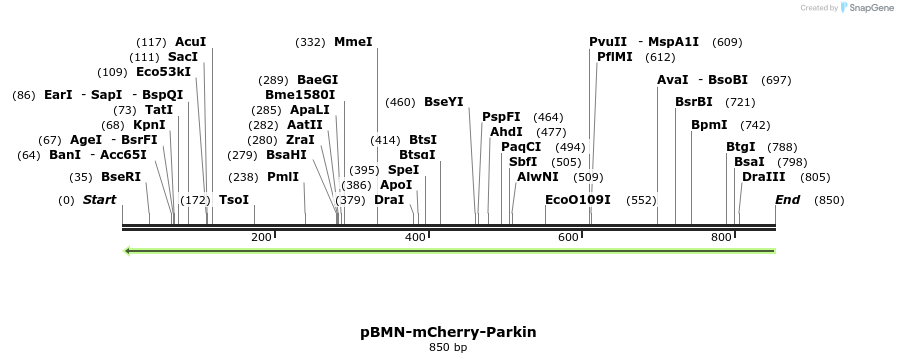 99347_map
