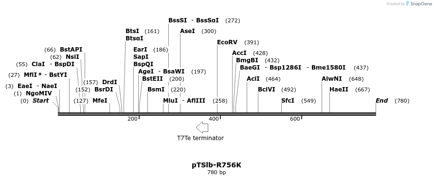 99351_map