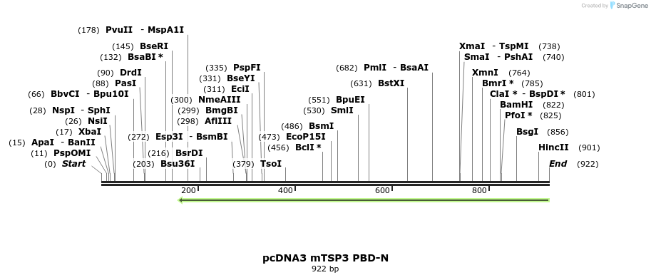99352_map