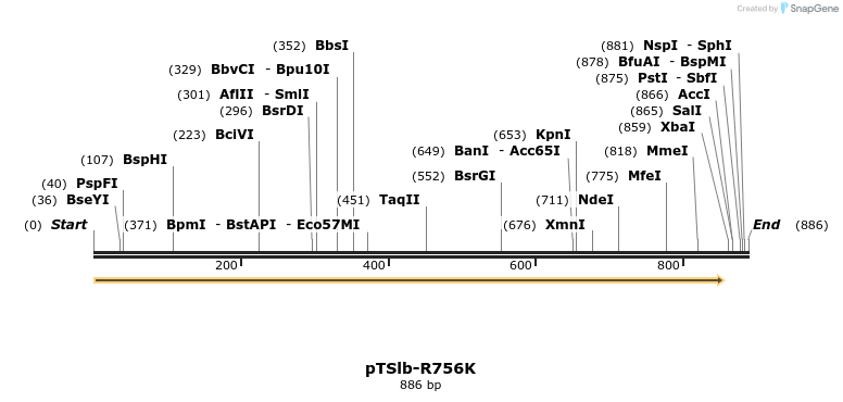 99357_map