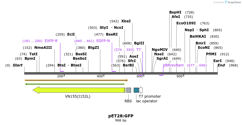 99360_map