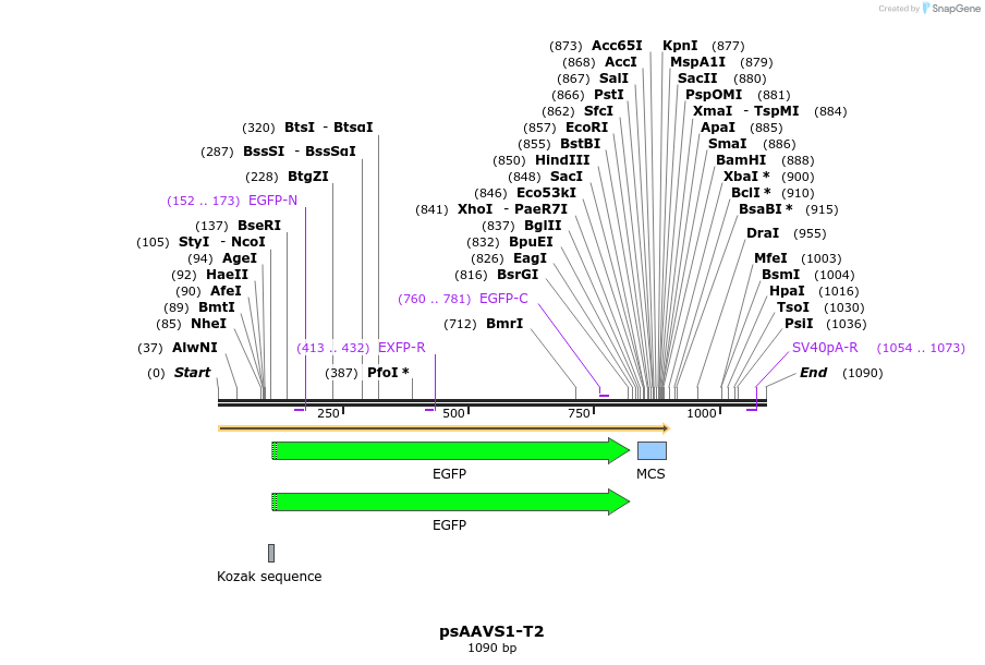99361_map