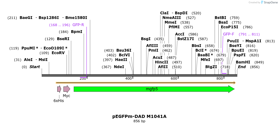 99368_map
