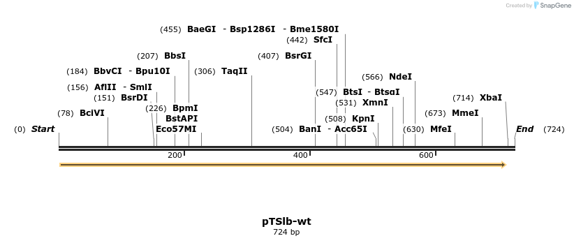 99369_map