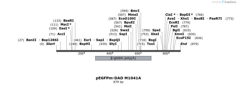 99371_map