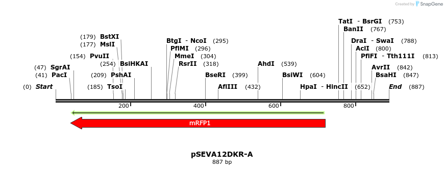 99373_map