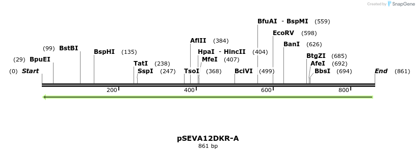 99374_map