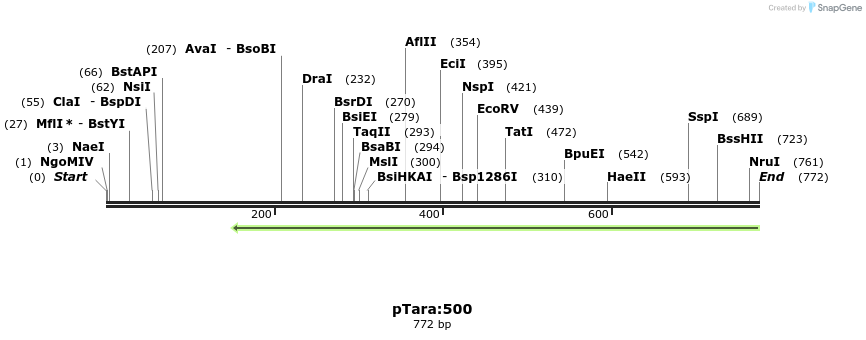99376_map
