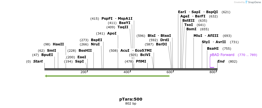 99377_map