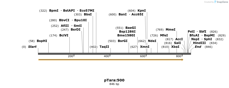 99379_map