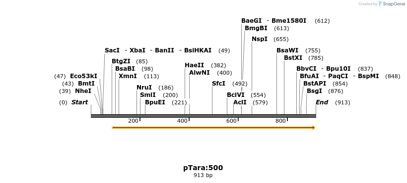 99380_map