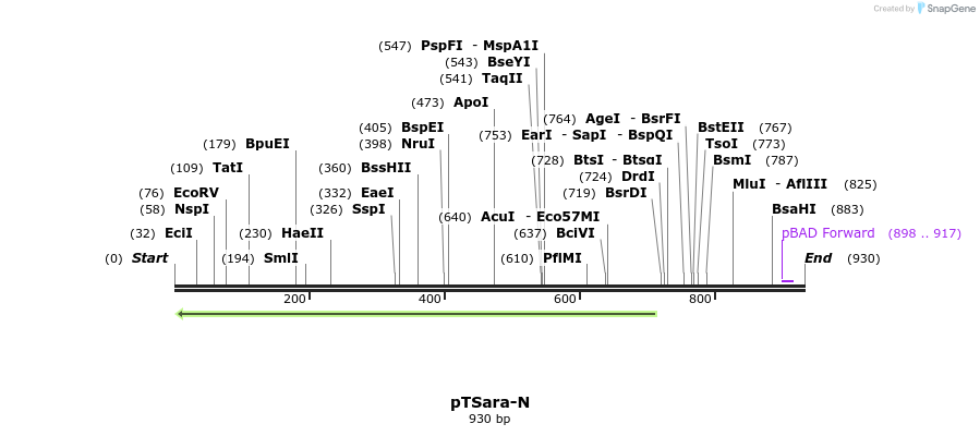99381_map