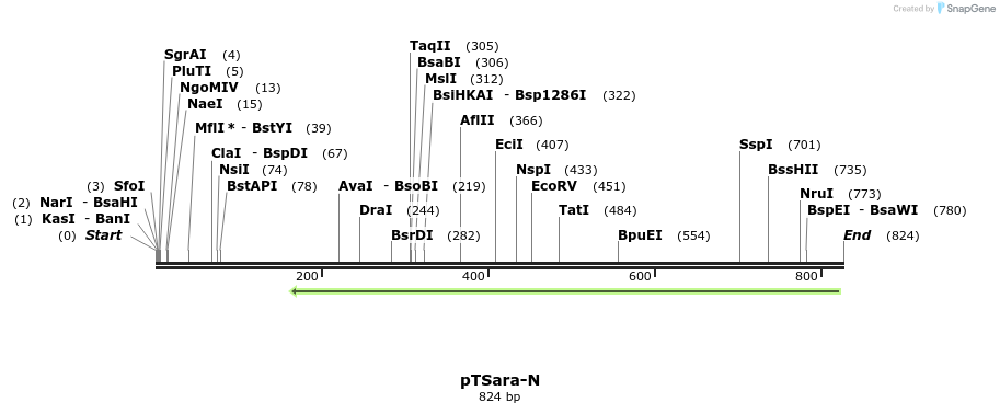 99383_map