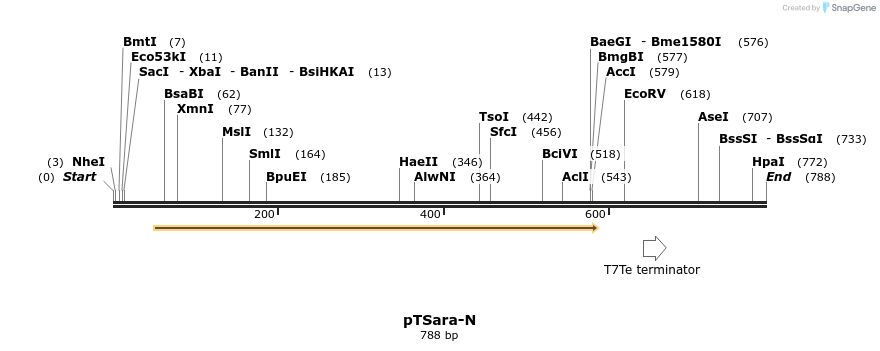 99385_map