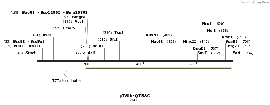 99387_map