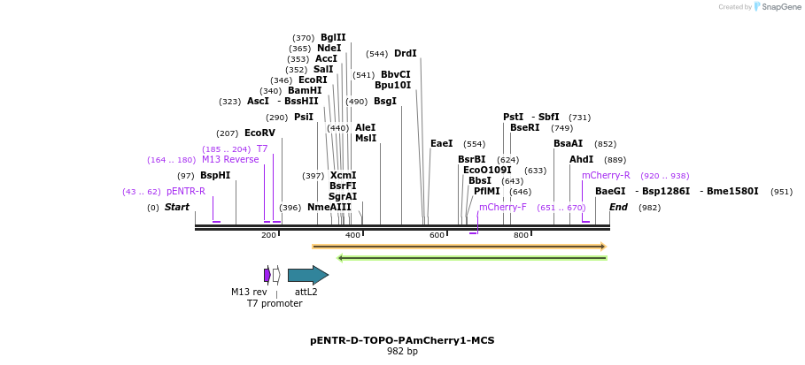 99394_map