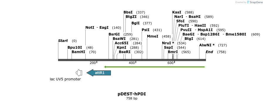 99395_map