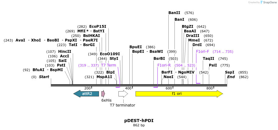 99396_map