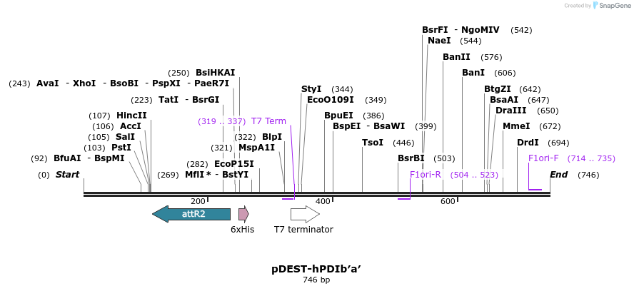 99397_map